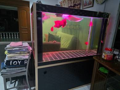 Aquarium and arowana for sale