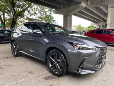 2023 Lexus NX 250 LUXURY