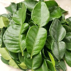 Daun limau purut