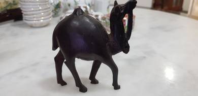 camel display