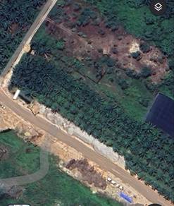 Mixed Development Land in Kuala Langat, SGR