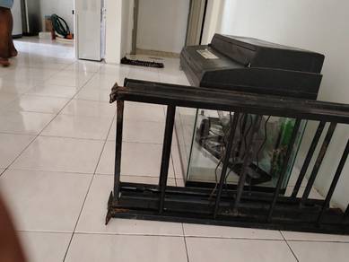 fish aquarium 