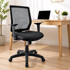ARIEL Lowback Office Chair with Lumbar Support