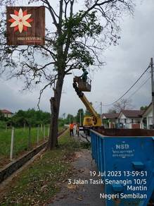 Potong Pokok & Rumput, Pembersihan Longkang & Cat