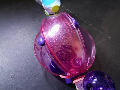 tempat hamster