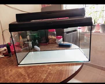 2.5 ft aquarium, cover.