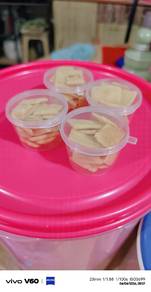 homemade pet snacks