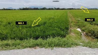 Agricultural Land in Besut, TRG