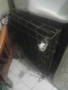 cat cage free cat.treeee