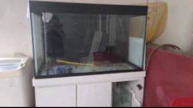 Aquarium 4ft and 3ft