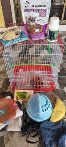 Sangkar sugar glider siap barang complete