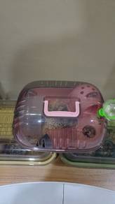 hamster