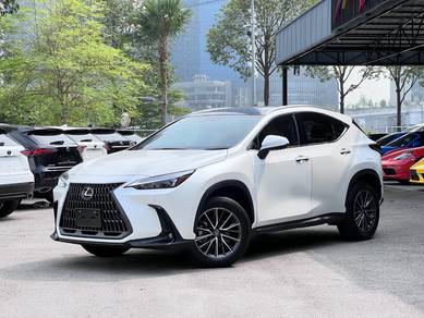 Lexus NX 250 BASE GRADE in Pudu, KUL
