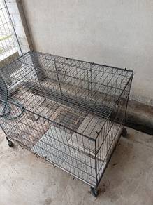 cage carrier for cat
