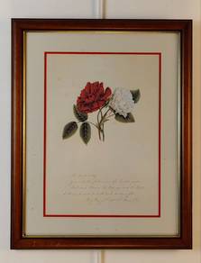 Vintage Botanical Roses Print 🌹