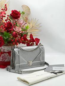 Christian Dior Medium Diorama Silver Metallic