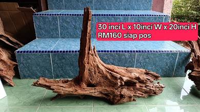 Driftwood solid body BESAR 1PIECE untuk tank 5ft