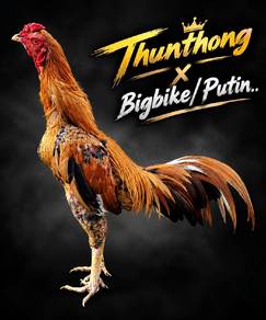 ayam baka baik