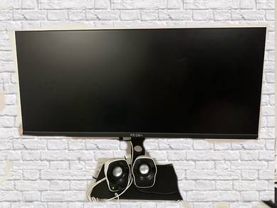 Prism+ W340U Pro ( Flat Panel)