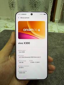 Vivo x300 5G