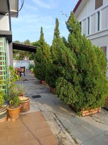 Semi-Detached House For Sale in Krubong,MLK