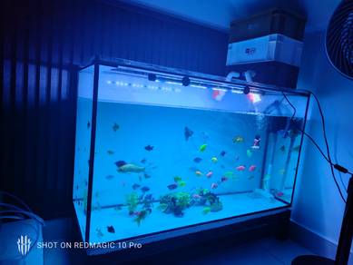 aquarium 3ft 