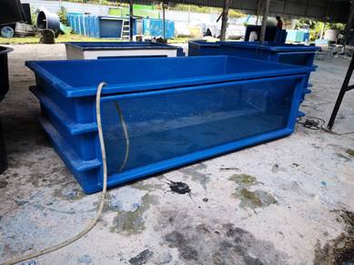 Fish Aquarium   ( offer )