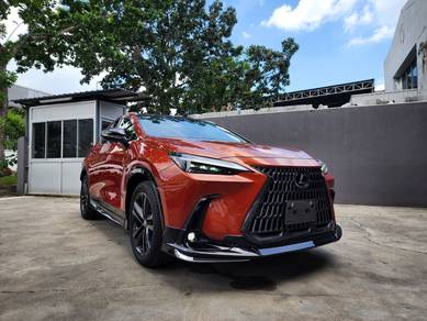 Lexus NX 250 LUXURY in Bandar Kinrara, SGR
