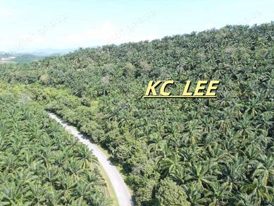 Agricultural Land in Baling, KDH