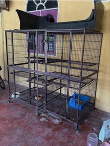 Sangkar kucing besar