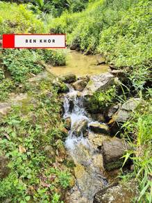 Agricultural Land in Taiping, PRK