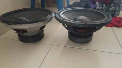 dual voice coil subwoofer