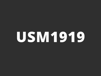 USM1919