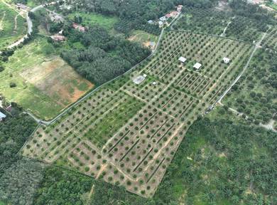 Others Land in Alor Gajah, MLK