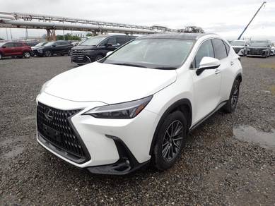 Lexus NX 250 VERSION L in Klang, SGR