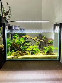 Aquarium Aquascape 40cm