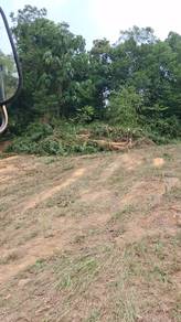 Residential Land in Beranang, SGR