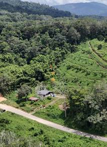 Agricultural Land in Keningau, SBH