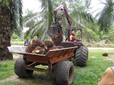 Japan Imported Isuzu Harvester Tractor T-10