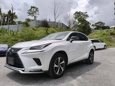 Lexus NX 300 SPICE&CHIC in Johor Bahru, JHR