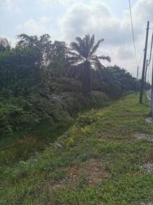Agricultural Land in Banting, SGR
