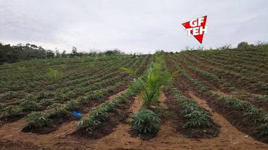 Residential Land in Kulim, KDH