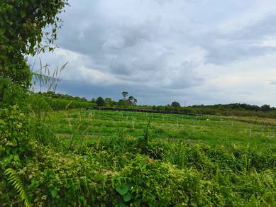 Agricultural Land in Klang, SGR
