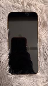 iphone 13 pro max 256 gb