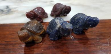 Turtle in Stone