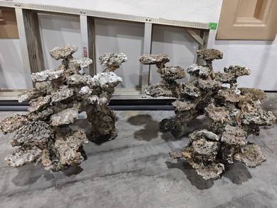 Reef Rock for sell