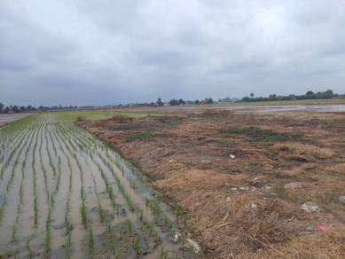 Agricultural Land in Sungai Besar, SGR