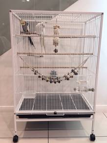 Cockatiels (2birds) + Large Cage & Accessories
