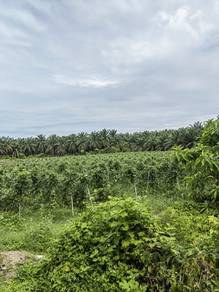 Commercial Land in Tasek Gelugor, PNG