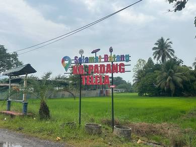 Agricultural Land in Pauh, PLS